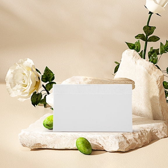 WRISTBIQUE White Phone Film Application Tool with Scraper and Cloth