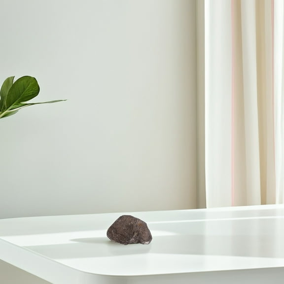 WRISTBIQUE 1Pcs Meteorite Rock Sample Rough Crystal Specimen For Collection And present Giving Dark Brown Irregular