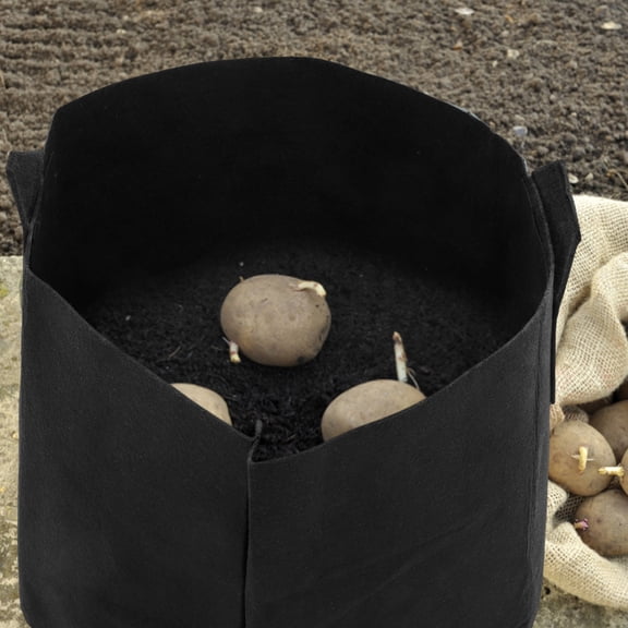 WRISTBIQUE 2- Gallon Black Vegetable Grow Bags with Breathable Fabric for Improved Root Aeration and Growth