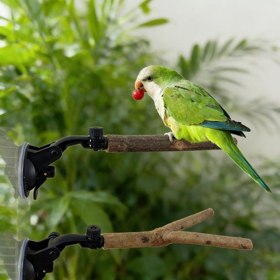WRISTBIQUE Adjustable Suction Cup Bird Perch Stand with Wood for Parrots 2pcs