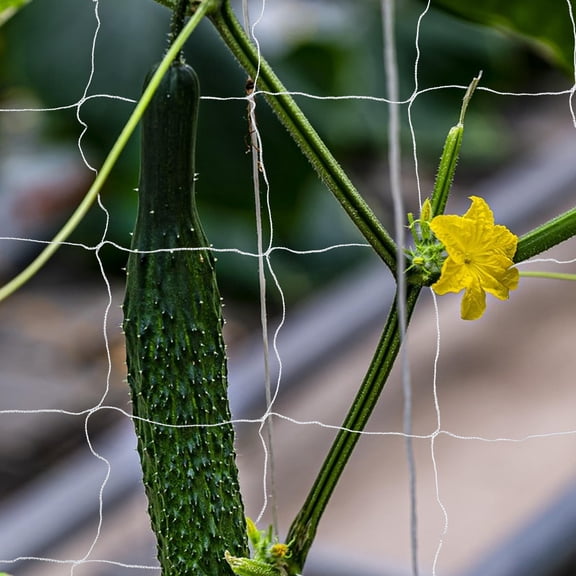 WRISTBIQUE Invisible Trellis Vine Net for Vertical Gardening - Weather Resistant 1Pack