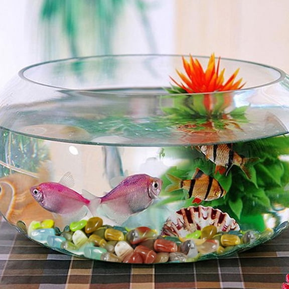 WRISTBIQUE Multi-Color Aquarium Rocks for Fish Tanks and Landscaping Decor