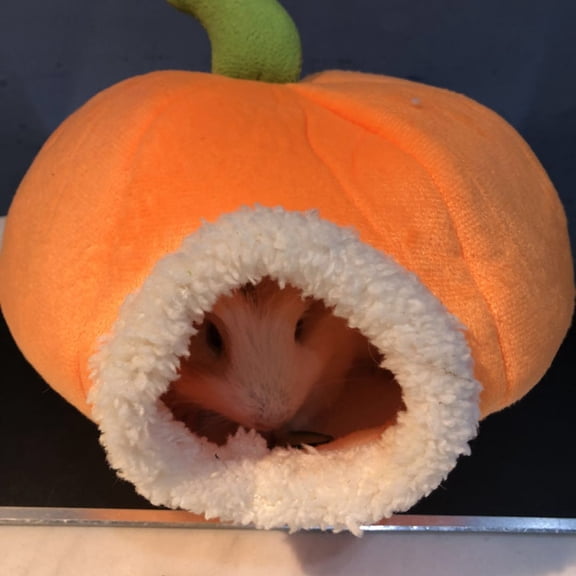 WRISTBIQUE Orange Pumpkin Pet Bed House Warm Nest for Hamster Squirrel Mice Small Animal Comfortable