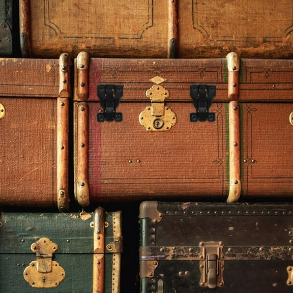 WRISTBIQUE 6-Pack Toggle Latch Locks Duckbill Hasp Iron Fasteners for Home Storage, Decor, and Secure Closures