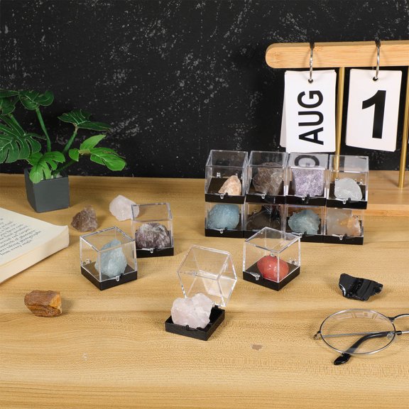 WRITWAA 12Pcs Clear Specimen Display Cases for Home Use Plastic Mineral Storage Boxes