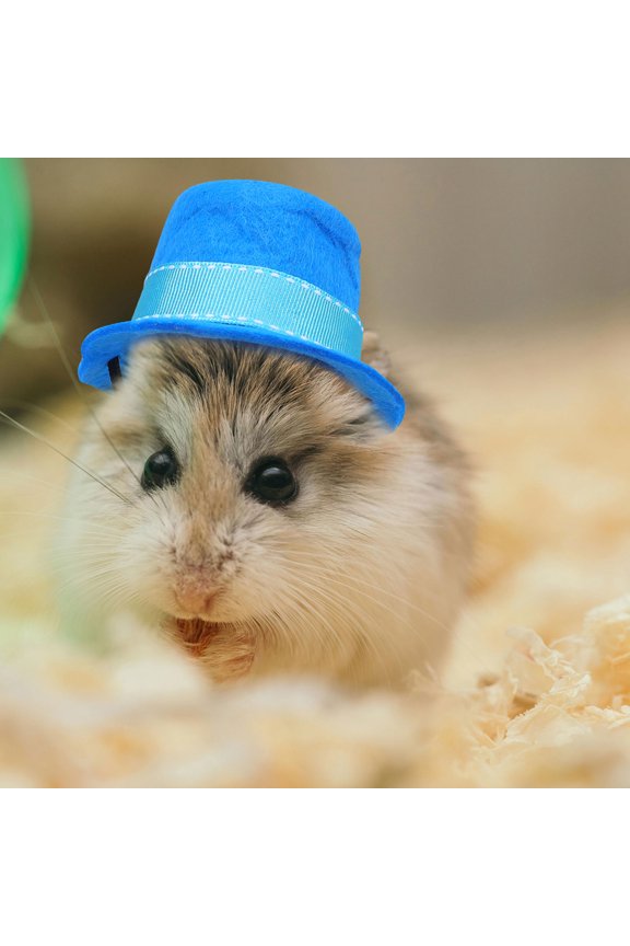 1Set Small Pets Hat and Bow Tie Kit with Adjustable Buckle for Hamsters Guinea Pigs and Chinchillas
