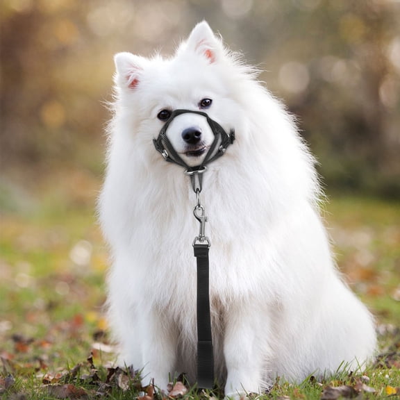 WRITWAA 2Pcs Adjustable Dog Muzzle Soft Mesh Nose Cover for Bite Prevention Training and Outdoor Use