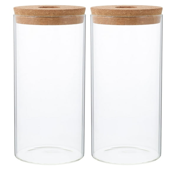 WRITWAA Transparent Moss Landscape Container Plant Bottle Set of 2 for Decorative Gardening