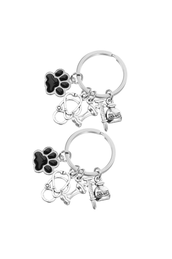 Medical Keychain Detailed Craftsmanship Zinc Alloy 2Pcs