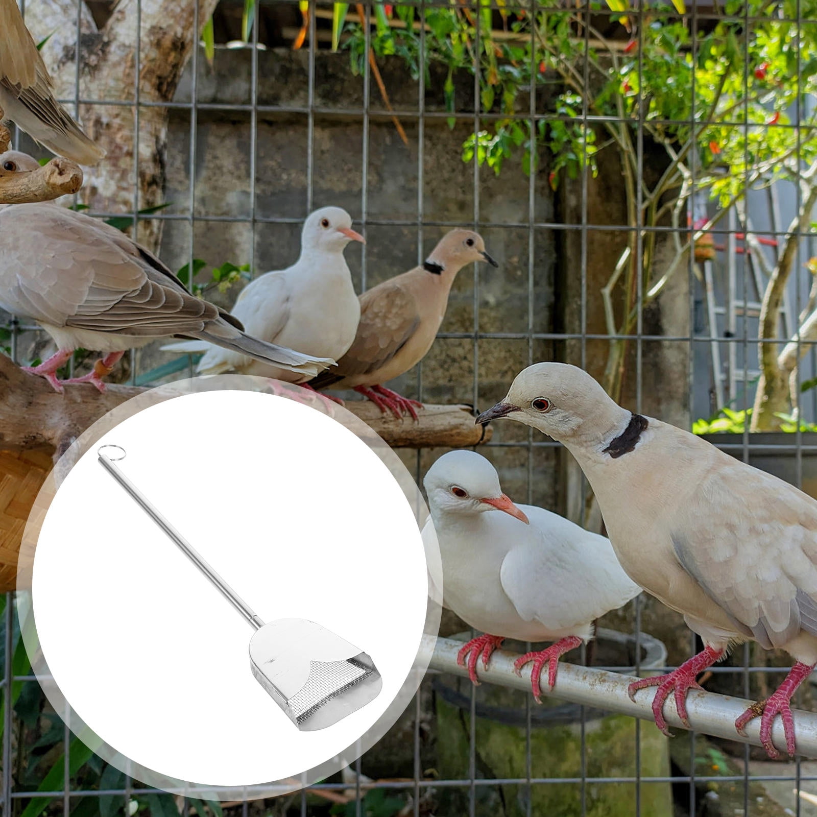 WRITWAA Adjustable Stainless Steel Bird Droppings Scraper for Chicken ...