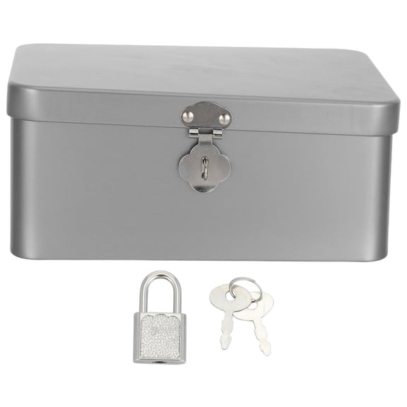 WRITWAA Grey Rectangular Metal Hinged Tins, Sturdy Storage Boxes for Crafts, , Small Items and Home Office Organization
