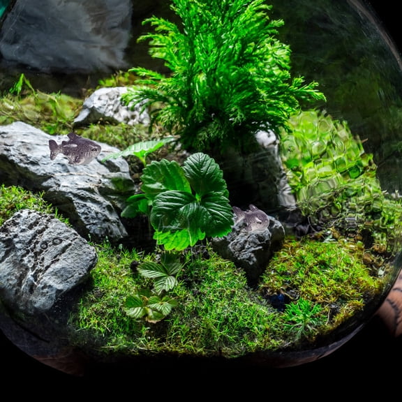 WRITWAA Mini Resin Shark Figurines for Home Decor, Tabletop Succulents, Micro Landscape, Black, 30 Pieces