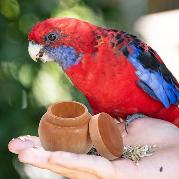 WRITWAA Wood Bird Food Box Small Portable Bird Feeding Case for Outdoor Use