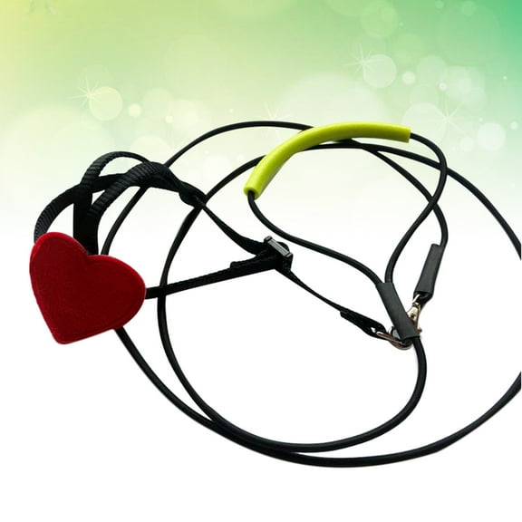 WRITWAA Assorted Color Pet Leash with Universal Buckle for Bird Safety