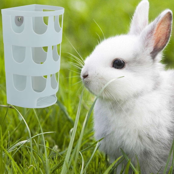 WRITWAA Plastic Small Animal Feeder Bowl Practical Durable Design for Rabbits Chinchillas Guinea Pigs