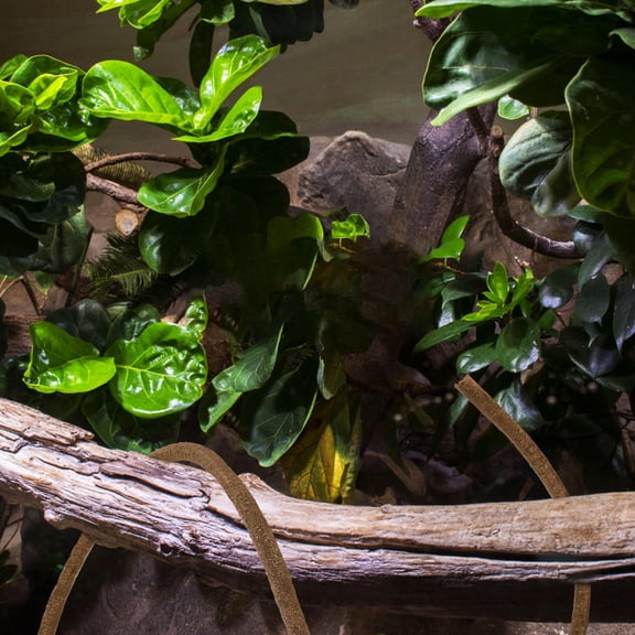 WRITWAA Reptile Decor Fake Vine, Flexible Terrarium Plant Accessory for Lizard and Snake Habitat, Cage Decor