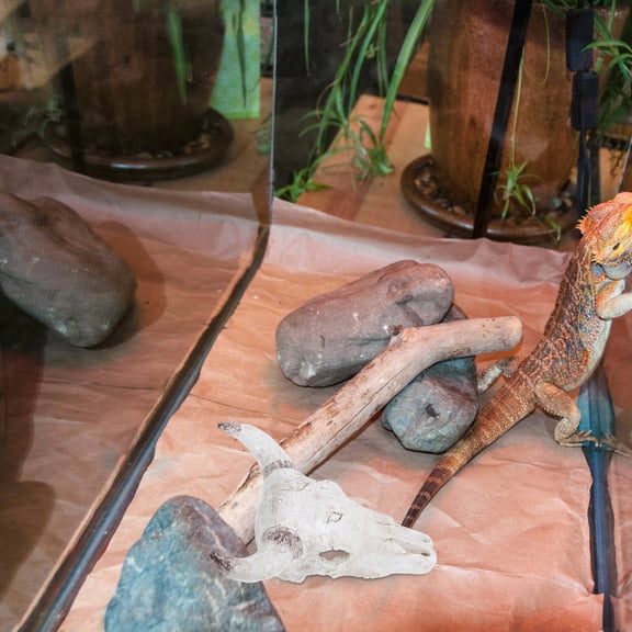 WRITWAA Resin Bull Skull Fish Tank Ornament for Turtle and Gecko Hideout with Unique Desert Reptile Decor