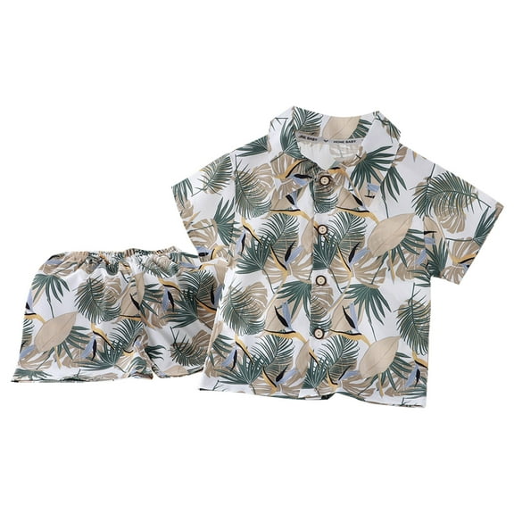 WRKEKC Girls Summer Outfits, Casual Sets for Little Girls, Children's Summer Print Comfortable Button-Up Short Sleeve Lapel Sets and Shorts Sets