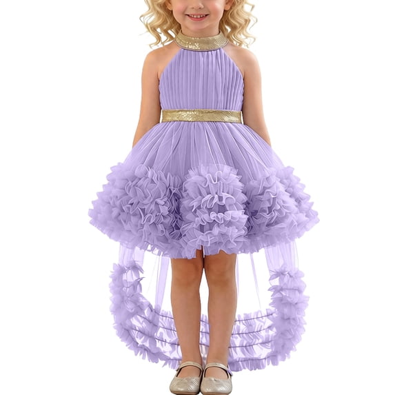 WRKEKC Little Girls Dresses Sleeveless Halneck Tulle Train Layered Cake Toddler Pageant Dress Breathable for 0-4 Years