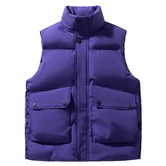 WRKEKC Mens Puffer Vest Solid Color Button Pocket Sleeveless Vest Stand Collar Casual Warm Outerwear Fall Winter for Men