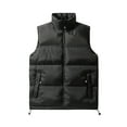 thumbnail image 1 of WRKEKC Mens Puffer Vest Solid Color Down Cotton Padded Color Block Vest for Winter Daily Casual Warm Layering Wear, 1 of 3