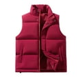 thumbnail image 1 of WRKEKC Mens Puffer Vest Solid Color Stand Collar Padded Vest with Quilted Detail for Fall Winter Layering Casual Wear and Outdoor Activities, 1 of 3