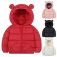 thumbnail image 1 of WRKEKC Toddler Fleece Padded Jacket with Bear Ears Hooded Zip Coat for 1-3 Years Infants Warm Winter Outerwear with Pockets Designed for Cold Days and Outdoor Adventures, 1 of 9