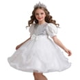 thumbnail image 1 of WRKEKC Tulle Dress for Girls Sleeveless Layered Mesh Sparkle Applique Princess Wedding Flower Girl Dress for 2-11 Years, 1 of 7