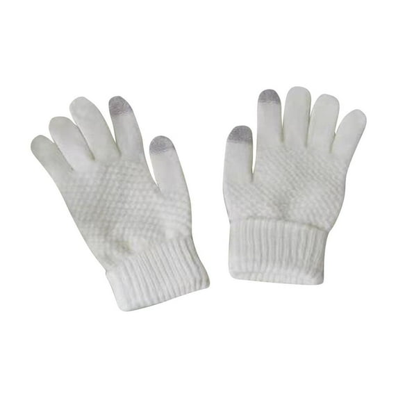 WRKEKC Winter Gloves for Women Solid Color Brown Touchscreen Cold Proof Warm Fashion Gloves for Women Casual Daily Match