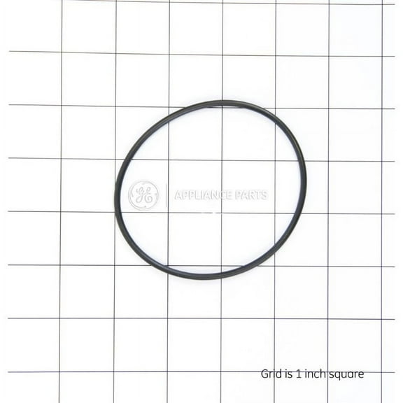 WS03X10038 GE O-Ring OEM WS03X10038