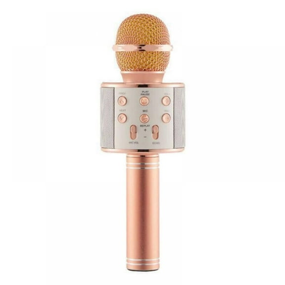 WS858 Bluetooth Wireless Karaoke Handheld Microphone USB KTV Player Bluetooth Mic Speaker Record Music with Carring Bag Suitable for iOS,Android,iPad,Bluetooth
