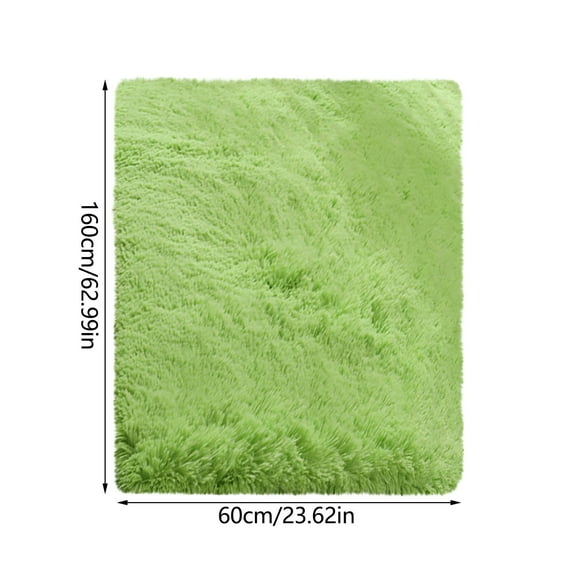 WSBDENLK 5.3' X 2' Soft Carpet Non-Slip Area Carpet Floor Mat Bedroom Rugs Fluffy Area Rugs for Living Room Bedroom Kids Room Decor Carpet, Green