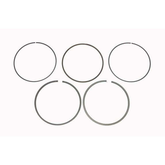 Wsm 51-258-05 Piston Ring Set