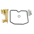 thumbnail image 1 of WSM Carburetor Kit For Arctic Cat 300 DVX 09-15 016-459, 1 of 3