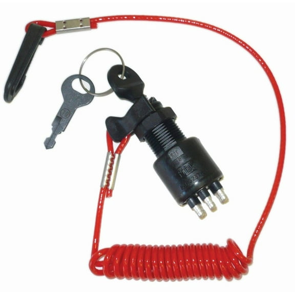 WSM Ignition Switch for Johnson / Evinrude 9.9 / 15 / 40 - 65 / 150 / 250 Hp 99-15