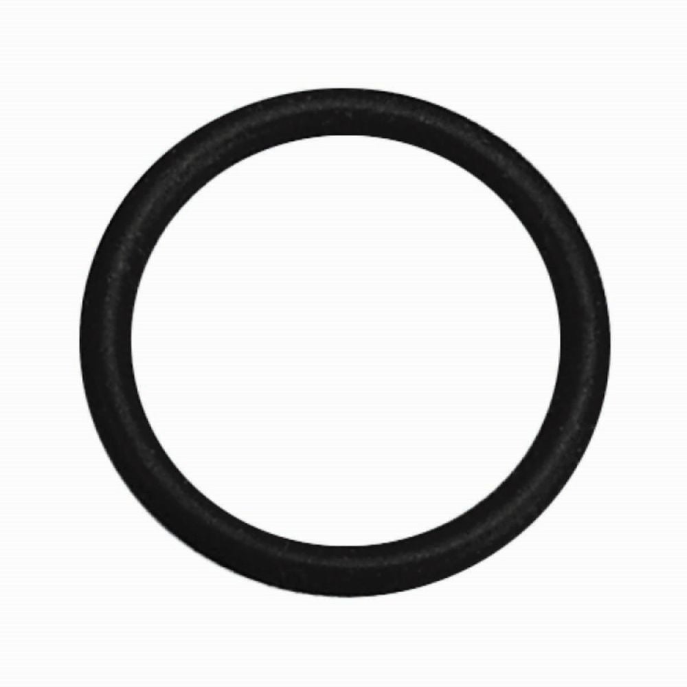 WSM Valve Stem ORing for Gen V 7.4L 454 CI. 584112