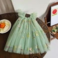thumbnail image 1 of WSMEA Dresses for Girls Fancy Fly Sleeves Embroider Dance Party Floral Leotard Dress, 1 of 2
