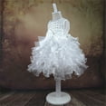 thumbnail image 1 of WSMEA Girls Dresses Summer Spring Solid Party Wedding Flower Party Mesh Tutu Gown Lace Evening Size Sun Dress, 1 of 4