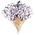 thumbnail image 1 of WSZZL Star Cocktail Picks, Wooden Toothpick Skewers, Appetizer Picks, Party Supplies, Durable and Sturdy, Ideal for Fruit Decoration, Events, and Gatherings, 1 of 5