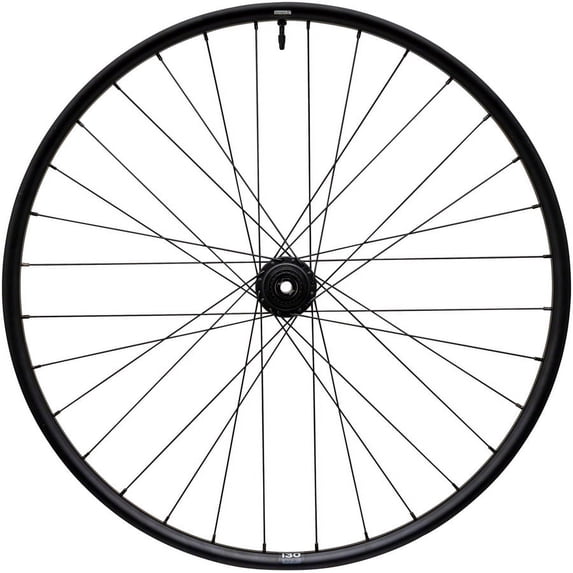 WTB HTZ i30, 29", 12x148 Rear Wheel, MS