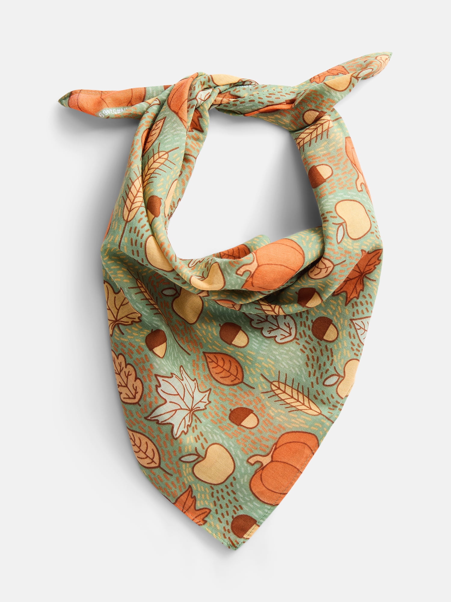 Way To Celebrate Halloween Women's Harvest Patch Bandana, One Size, Sage/Multi