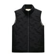 thumbnail image 1 of WTOBBY Men's Stand Collar Quilted Vest Jacket, Solid Color Sleeveless Down Cotton Coat, Lightweight Insulated Layer for Casual and Outdoor Wear,Black L, 1 of 7