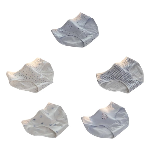 WTOBBY Women's 5-Pack Seamless Underwear, Quick-Dry Technology, Cartoon Print Briefs, Moisture-Wicking Fabric, Plus Size Panties, Comfort Fit Design ,White M