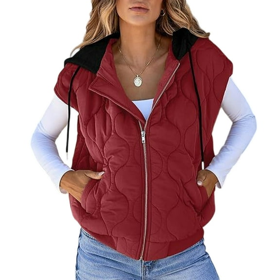 WTOBBY Women's Color Block Sleeveless Vest, Drawstring Hooded Tank Jacket, Casual All-Match Outerwear, Lightweight Layering Piece, Streetwear Style for Women,Wine L