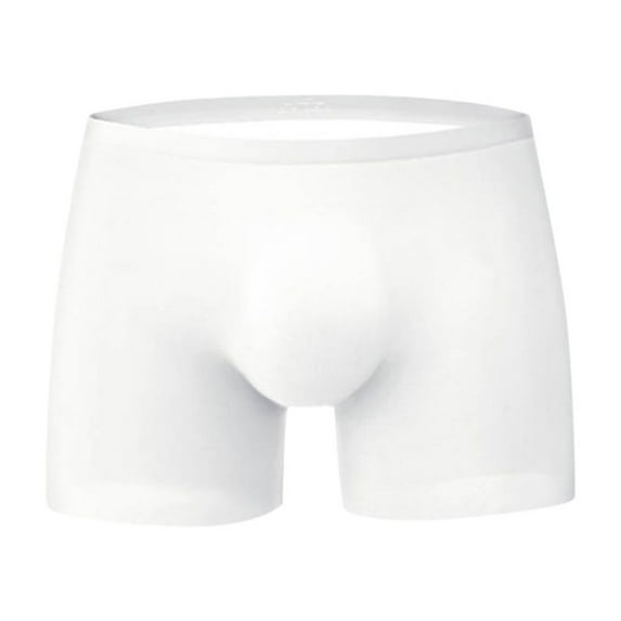 WTXUE Underwear for Men Pack | Boxer Briefs Underpants Seamless 3D Mens Breathable Briefs Ice Boxer Silk | 1 Piece White XXL
