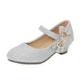 thumbnail image 1 of WUANDIXFA Summer Sandals for Girls Dress Shoes for Girls Low Heel Princess Shoes Mary Jane Flower Wedding Party Glitter Shoes (Little Kid/Big Kid) Silver,US 13, 1 of 2