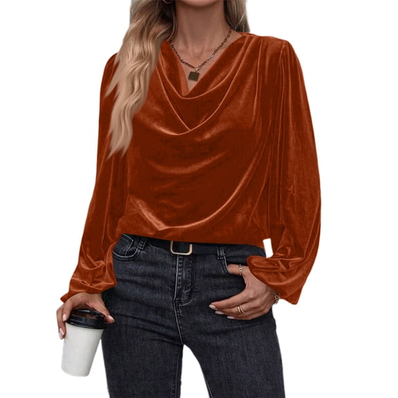 WULMLEO Women's 2025 Fall Trend Velvet Blouse Cowl Neck Puff Sleeve Top Elegant Casual Dressy Shirts for Fall Vermilion S