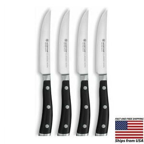 WUSTHOF Classic 4 Piece Kitchen Steak Knife Set - Stainless Steel - Great  Gift