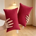 thumbnail image 1 of WUXIAB 2Pcs Microfiber Soft Tiny Pillows,Mini Pillow for Neck,Wrist,Lumbar and Knee,Machine Washable Travel Pillows,11" x 7", 1 of 3