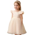 thumbnail image 1 of WUXIAN Kids Girls Dresses Toddler Mesh Tutu Dress Little Girls Irregular Stylish Tulle Princess Birthday Party Formal Sundress,Beige,3-4 Years, 1 of 5